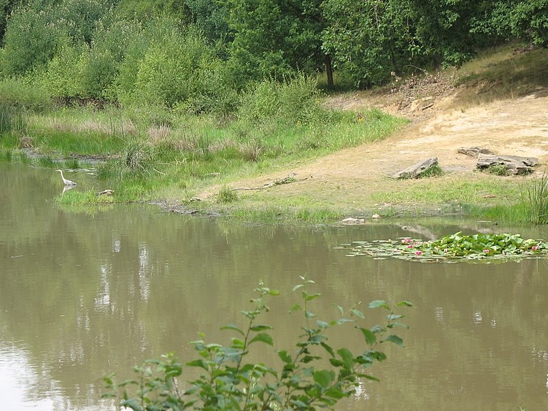 Myco Porte Baudet 08